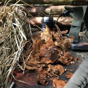 Amadou tinder natural firestarter