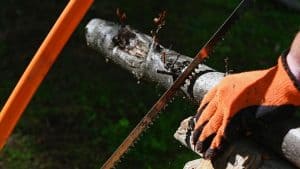 Best Bushcraft Bowsaw